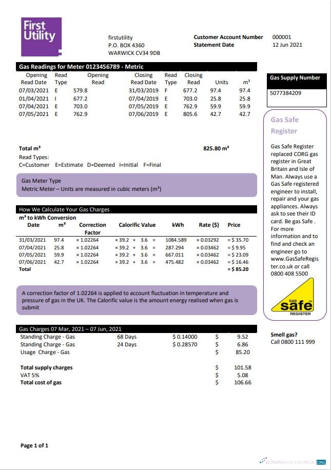 download United Kingdom Warwick First Utility bill template in Word and PDF format PDF template